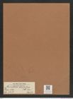 Auliscus sculptus (W. Sm.) Ralfs (de-Toni-Nr.: Genus 171, Species 4357) Zeichnungen Sammlung Grunow Mappe 04313 (Herbarium_W_Grunow_drawings_Folder_04313)